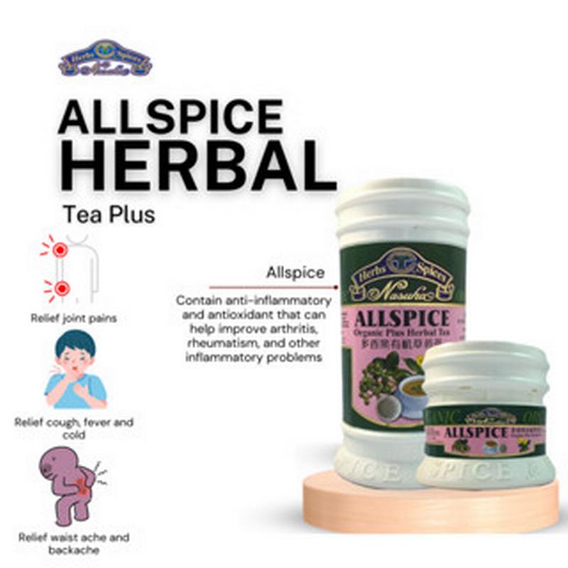 Allspice Organic Plus Herbal Tea (Medium)