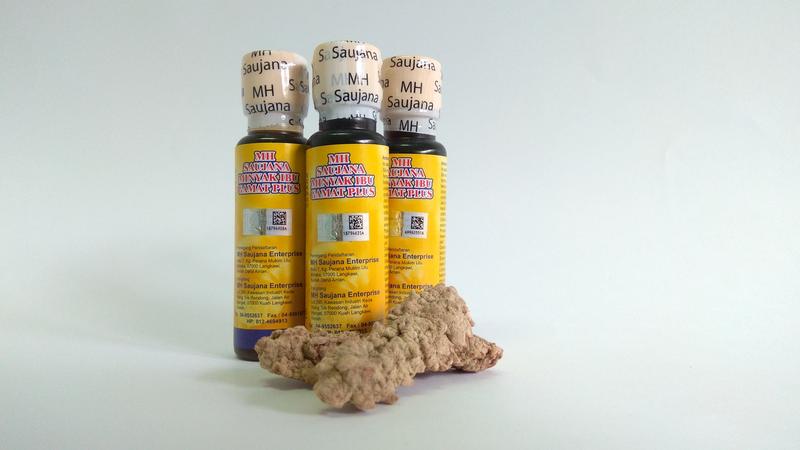 MINYAK IBU GAMAT PLUS (12botol)