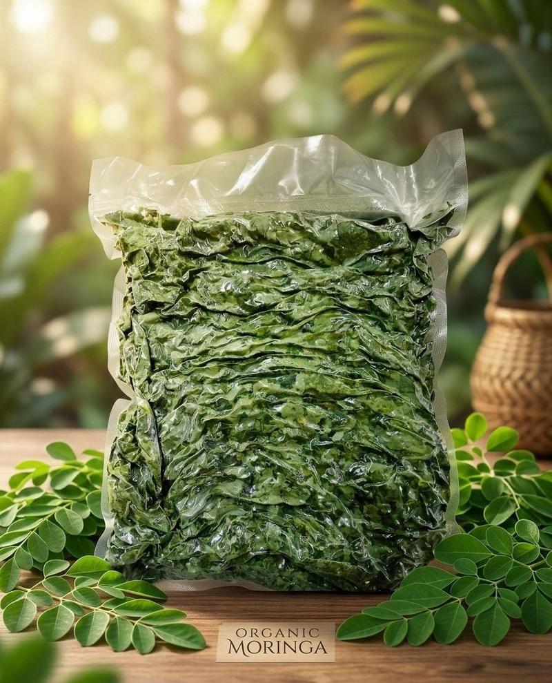 Daun Moringa Kering 500g (sudah dibersihkan, tiada pengunaan sinaran matahari)