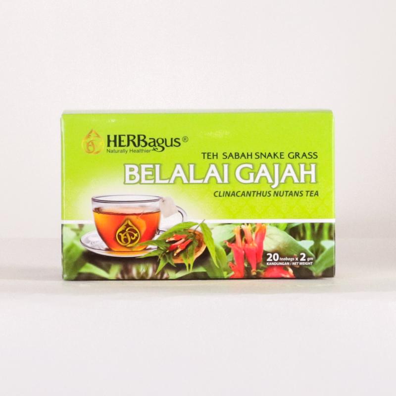 BELALAI GAJAH TEA